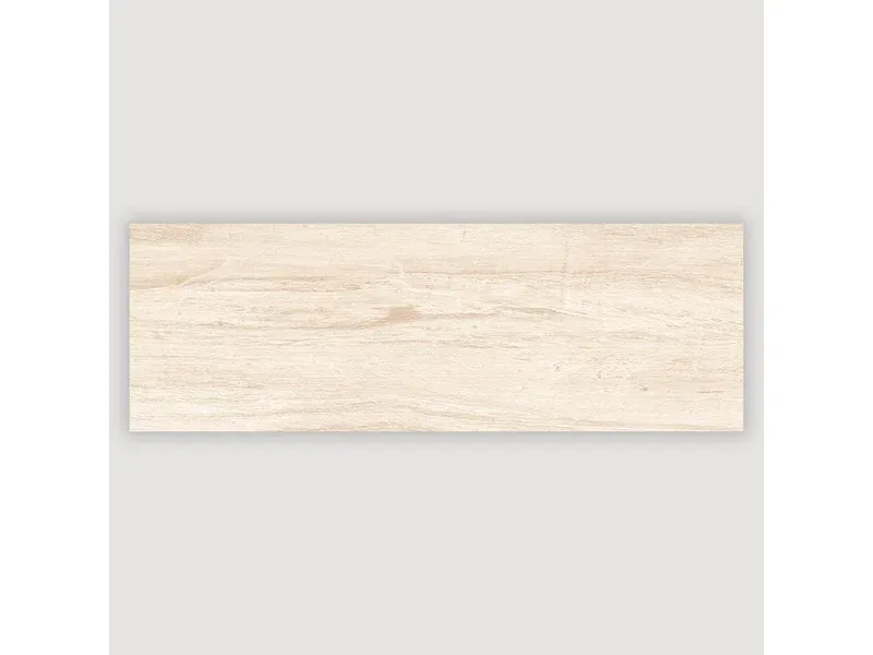 Astra 20X60 Cm Mat