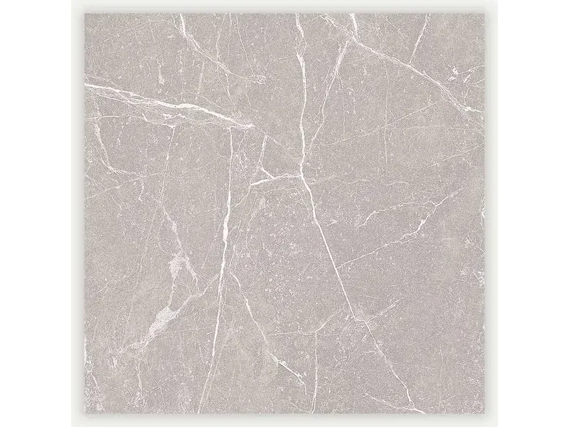 Concorde 60X60 Brillant