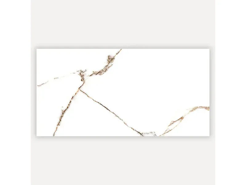 Delicate 30X60 Brillant